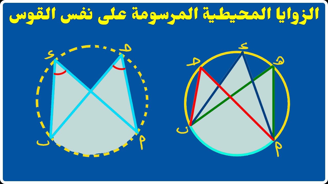 الزوايا والأقواس في الدائرة - الزوايا المحيطية المرسومة على نفس القوس