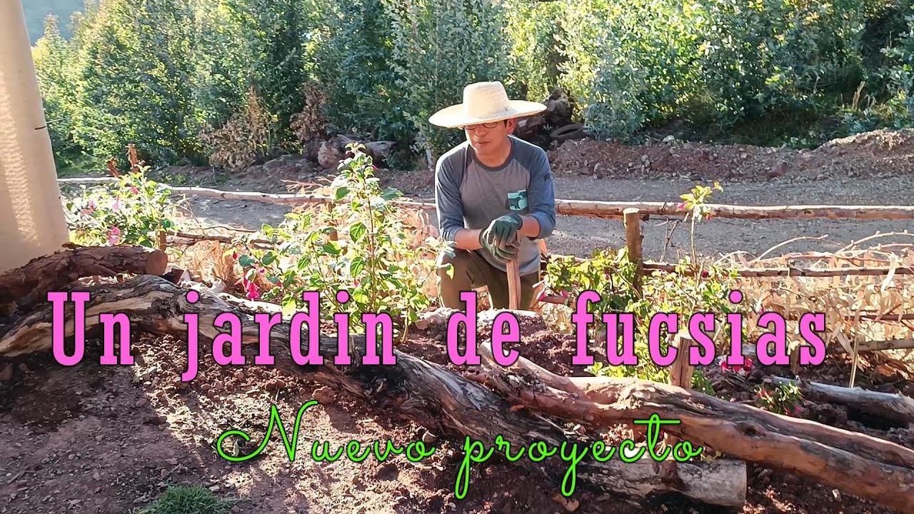 Un espacio para nuestras fucsias, Villa Lindura sigue transformándose. 