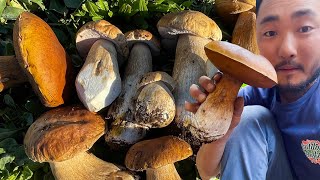 DELICIOUS PORCINI JERKY RECIPE | Wild Mushroom Foraging