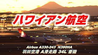 【4K】夕暮れに ハワイアン航空がA滑走路に着陸※ホワイトバランスを変えて撮影
