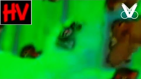 Grizzy and the Lemmings World Tour Intro (Horror Version 4.0) 😱