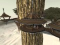 Battle Of Kashyyyk 1