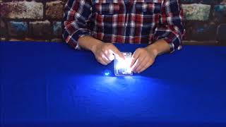 Pilot Automotive (IL 194W 5 AM) White 5 SMD LED Dome Light Bulb