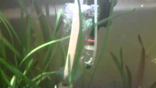 DIY PS TRIAL CO2 REACTOR part2