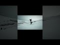 27#skincare #snowboarding #skiing #healing #freedom #speedandpassion #winterlimited
