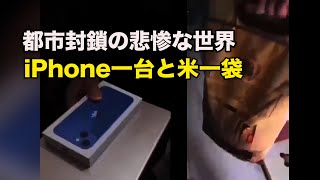 都市封鎖の悲惨な世界を伝える西安版『方方日記』