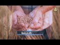 قصيدة رائعة في الرزق انتاج قناة زاد بصوت ظفر النتيفات