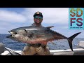 First bluefin tunas trolling nomad madmacs  offshore fishing san diego freedom boat club  2022