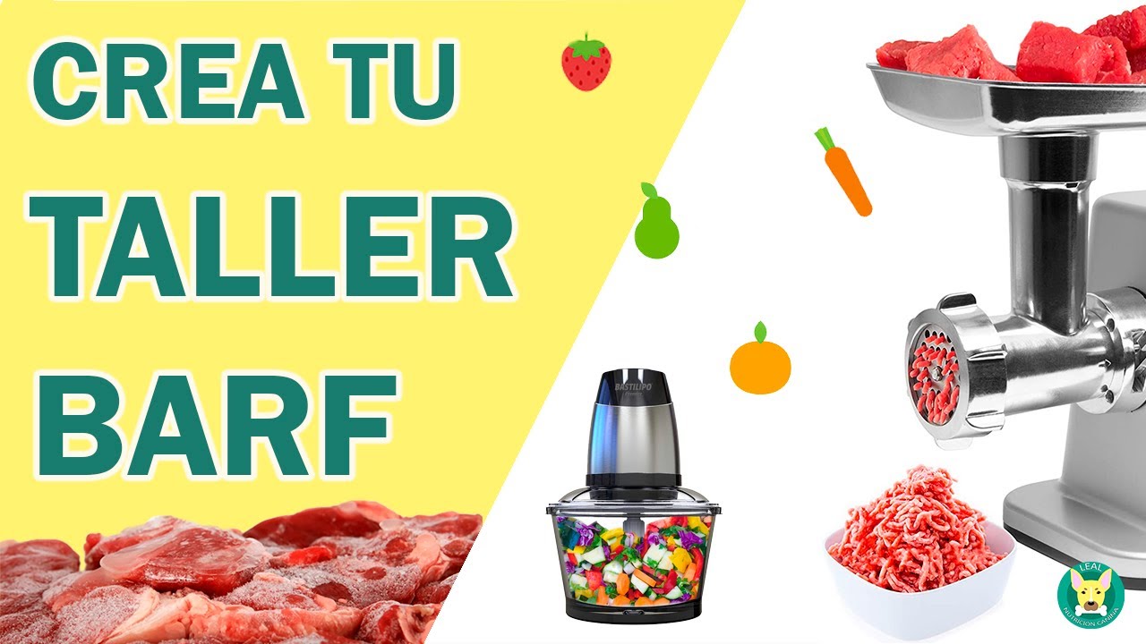 ✅ Qué NECESITAS para EMPEZAR la DIETA BARF con tu PERRO 🐶