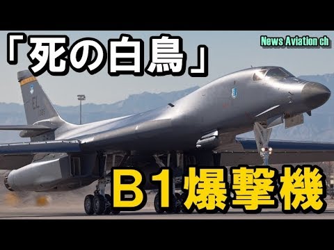 死の白鳥 B-1ランサー なぜ死の白鳥？B-1爆撃機「ランサー」の性能と値段 | 海洋国防