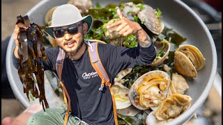 Why KELP Is the Next Big SUSTAINABLE FOOD TREND Explained | Clam Kelp Recipe | Coastal Foraging