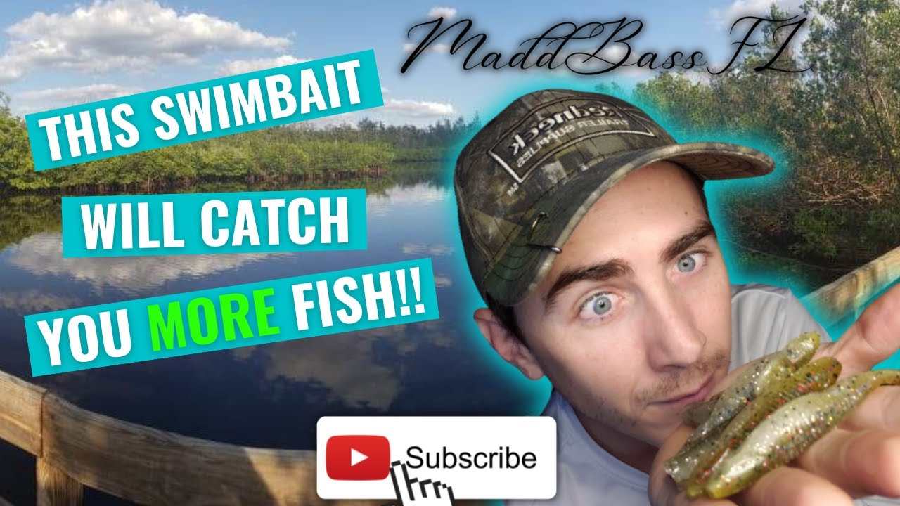 THIS is the Lure EVERY BASS FISHERMAN NEEDS!!! YouTube