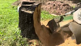 How long does it take to grind a stump?