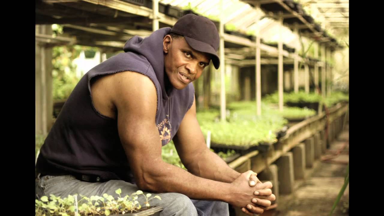 video phone beyonce mp3 Breaking All the Rules: A Class for Rebel Gardeners p2