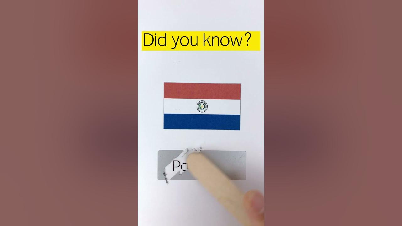 do-you-know-which-country-s-flag-this-is-knowledge-nation-shorts