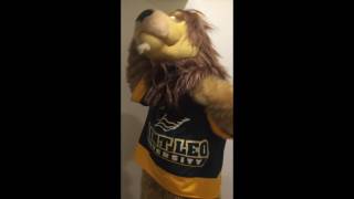 Fritz 'How To Suit Up' Video