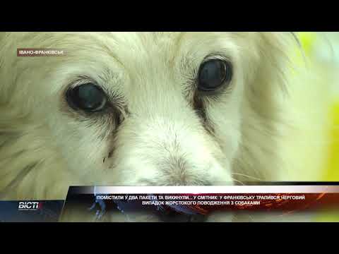 Помістили у два пакети і викинули...у смітник