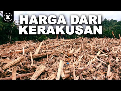 BENCANA SUMATERA SALAH SIAPA?