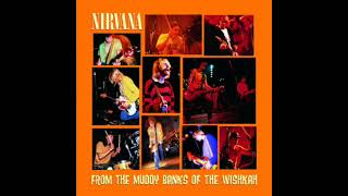 Nirvana - Lithium (Live)