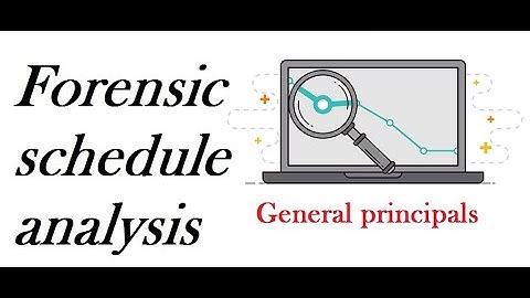 General principals before start  the forensic schedule analysis