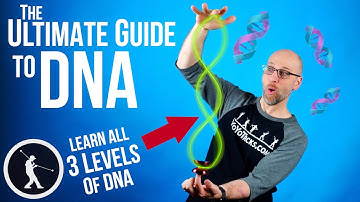 How to do the DNA Yoyo Trick 🧬 All 3 Levels of DNA Beginner to Pro