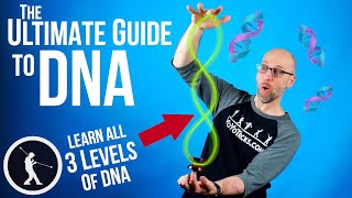 How To Do The Dna Yoyo Trick All 3 Levels Of Dna Beginner To Pro