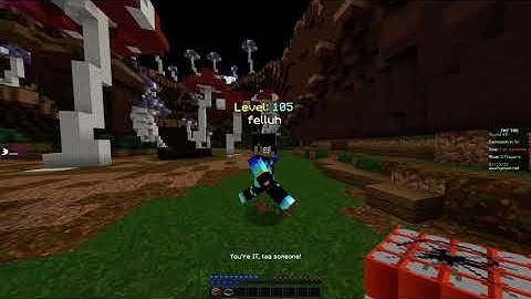 felluh - TNT TAG Hacker Report