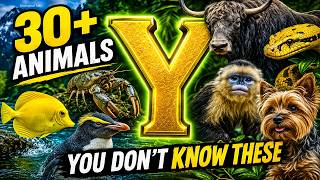 Animals That Start With Y | 30+ Unique &amp; Rare Creatures