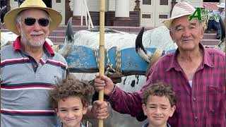 Hermanos Blanco Cubillo