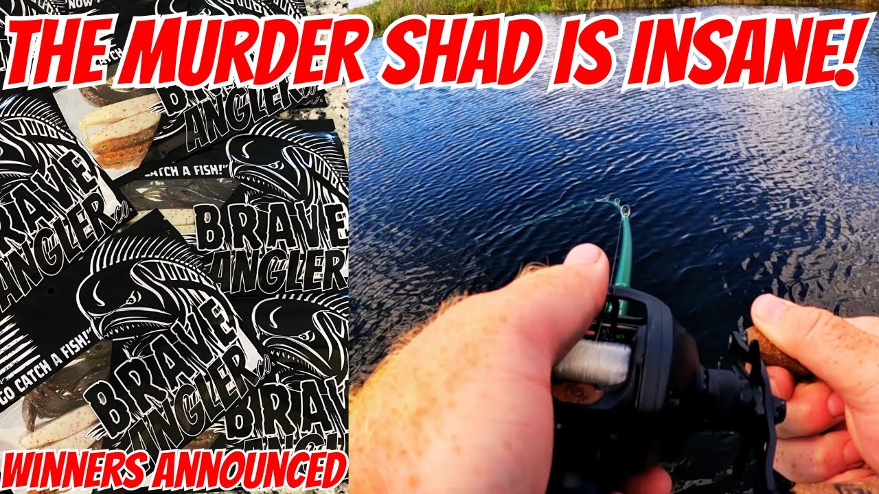 This Murder Shad Swim Bait is INSANE! Winners Announced.