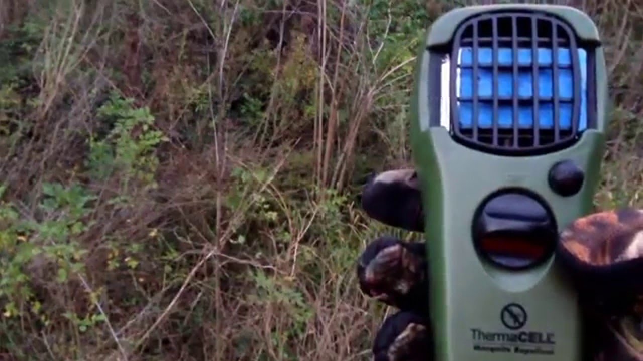 Therma Cell Is hunting. YouTube