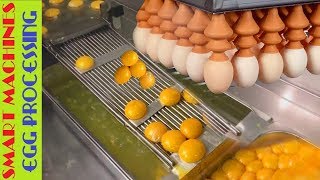 Intelligent Technology Smart Machines EGG PROCESSING 🌟 Amazing Egg Collecting &amp; Processing Machines