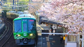 ［お茶の京都×桜！］221系NC604編成「お茶の京都」ラッピング　河内堅上駅到着＆発車