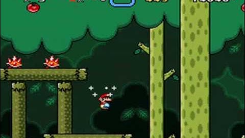 An SMWC Production - Stage 7-C: "Water-Logged Woods"