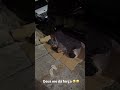 Oruam ajudando as crianças que estavam em frente a sua casa #oruam