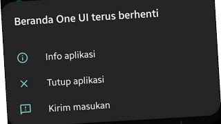 How to Fix One UI Home Keeps Stopping screenshot 4