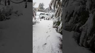 Quartz hill ca