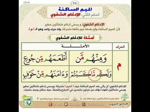 الإدغام الشفوي