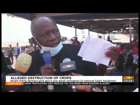 Afram Plains farmers give gov't 1 wk ultimatum to remove fulani herdsmen - Premtobre Kasee (19-1-22) Afram Plains farmers give gov't 1 wk ultimatum to remove fulani herdsmen - Premtobre Kasee (19-1-22)