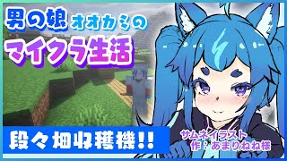 段々畑自動収穫はじめます！【#minecraft　#マイクラ　#男の娘vtuber　#朝活】