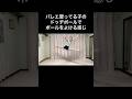 #バレエあるある 【ドッヂボールでボール避ける感じ】