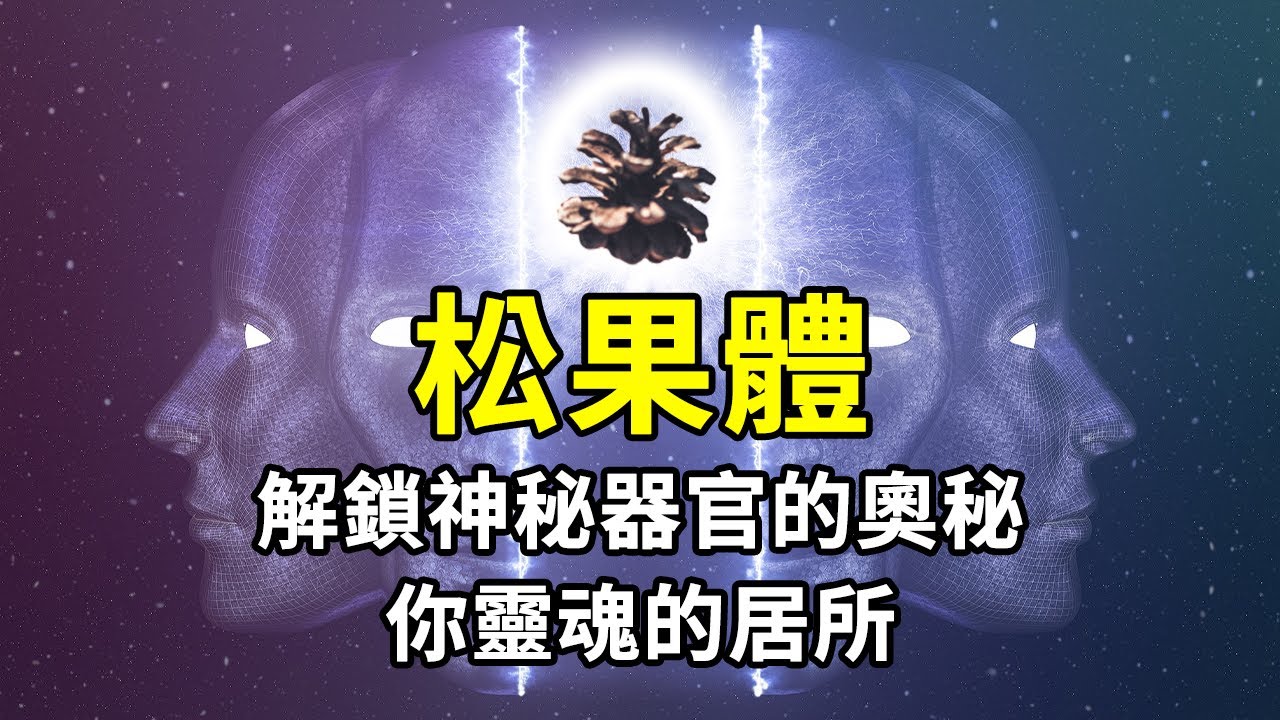 松果體的神秘面紗，DNA所包含的人生劇本，開始探索自我心靈的旅程