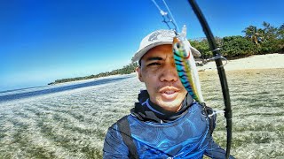 Sayang! Blue Mackerel Minnow!