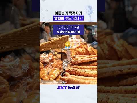 여름휴가 TMAP 목적지가 빵집인 이유?🥐