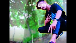 Halo gaiess aied 👑