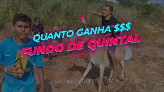 QUANTO GANHA FUNDO DE QUINTAL OFC? ps: você vai ficar surpreso!