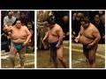 Is Kotozakura going well enough to win the May cup? (Sumo News, May 9th)