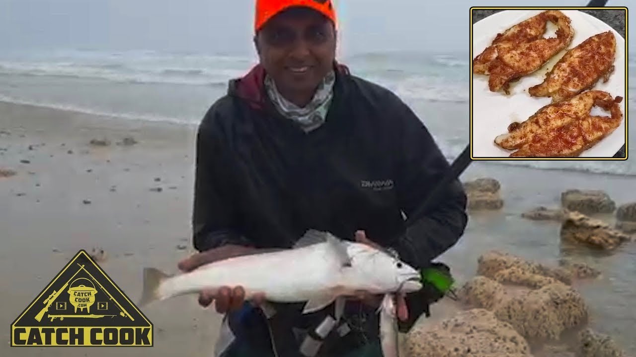 Kob on Live Bait, Masala Fried Fish South Africa, False Bay - YouTube