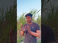 सुबह का workout सबसे अच्छा या शाम का।kush fitness