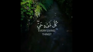 القران الكريم 524